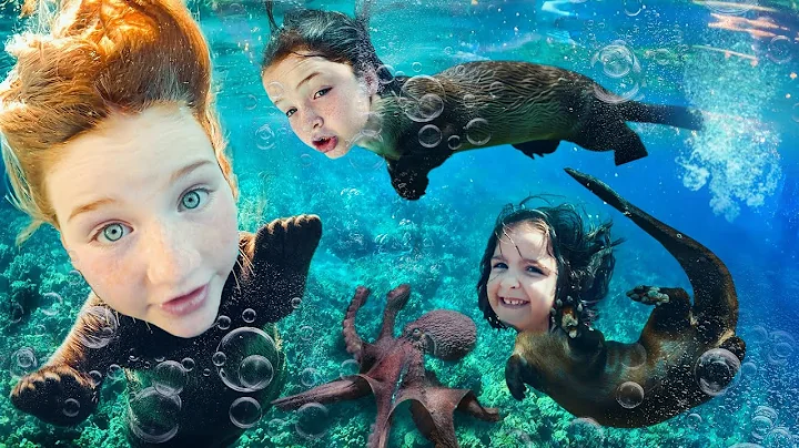 SURROUNDED BY WHALES!! Otter Family after Finding underwater animals in Hawaii with Adley Niko Navey