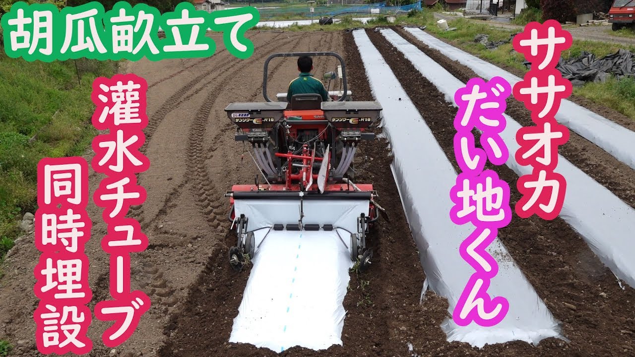 Cucumber ridge making, ridge forming, simultaneous mulching, and
