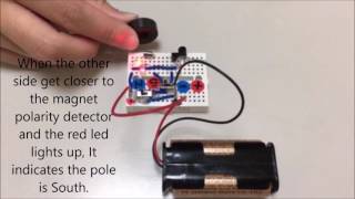 Magnet polarity and static electricity detector