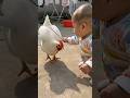 ✨Moments You Can't MissPure Vibes OnlyWatch Till the End! P11 #viral #shorts
