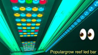 Populargrow reef led bar #unboxing #setup #ebay #budgetreefer #coral #reeftanks #aquarium #latino