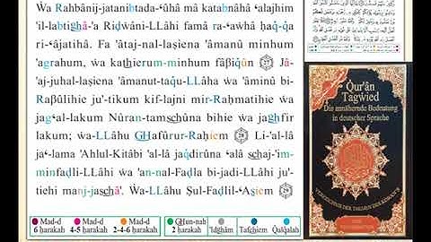 ختمة من مصحف التجويد باللغة الألمانية الصفحة رقم 541