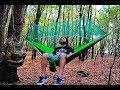 Peaceful day: tested my new hammock and I installed a birdhouse in the forest Peaceful day: tested my new hammock and I installed a birdhouse in the forest