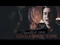 Dracula &amp; Marie-Jeanne | This darkness is the light