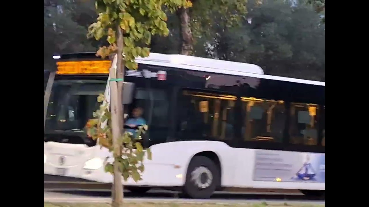 Mercedes citaro c2 white Ruote 33 15306 Autolinee Toscane Florence Italiy video SYNLab