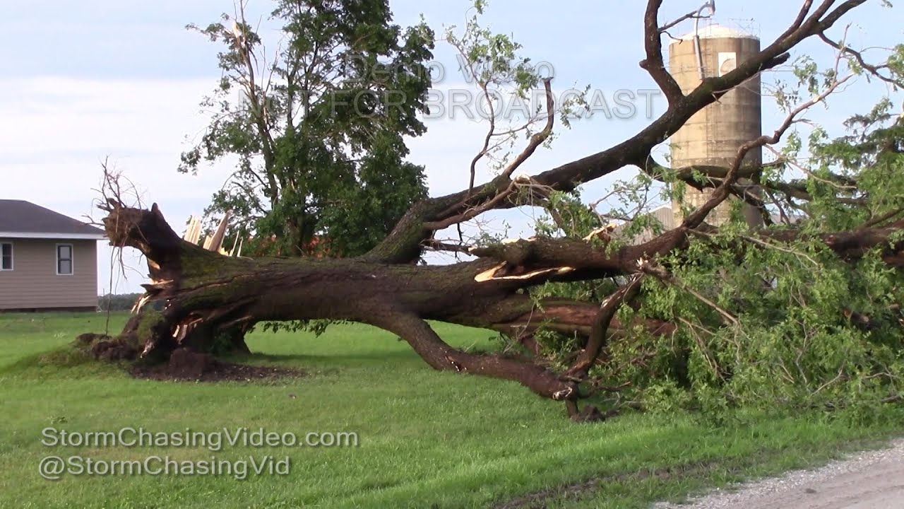 Lucas County, Iowa Severe Storm Damage - 7/19/2016