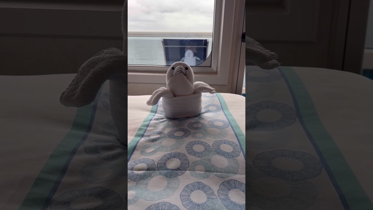 Day 7 towel animal #towelanimal #carnivalsplendor