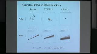 Prof. Scott McKinley | Anomalous Diffusion and Random Encounters in Living Systems