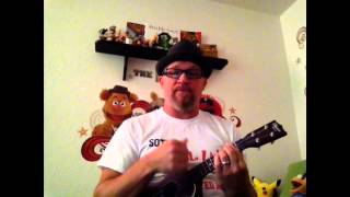 Video thumbnail of "Can You Picture That? (Electric Mayhem Ukulele Cover)"