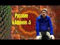 Это была не трава. Стас Давыдов, Адвокат Егоров и Бантик Бой на Килиманджаро