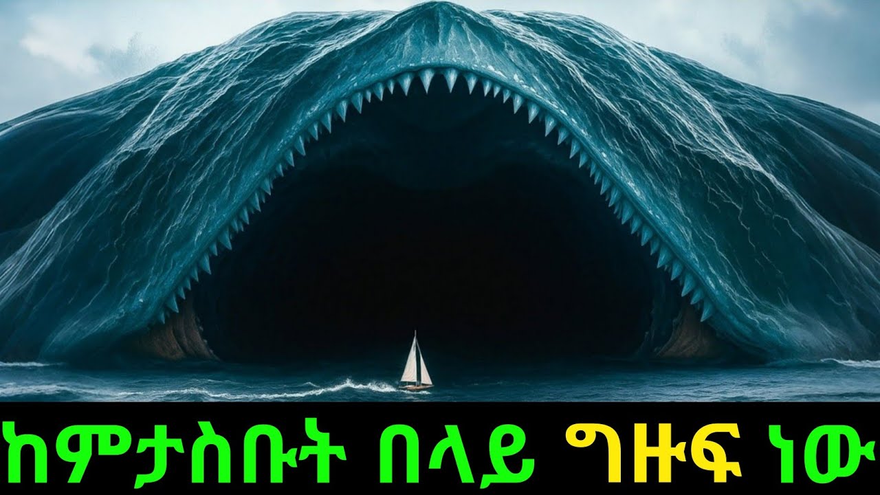 የአለማችን ግዙፉ የባህር ፍጥረት/ Why Blue Whales Are Bigger Than Dinosaurs | Real Science Explained