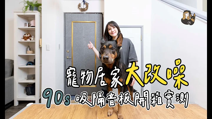 小经理开箱！｜宠物居家大改噪！90s吸隔音板实测心得公开！｜经理在干嘛 - 天天要闻