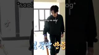 Hes Scared Of His Own Dog