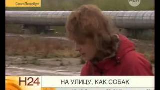 На улицу, как собак На улицу, как собак