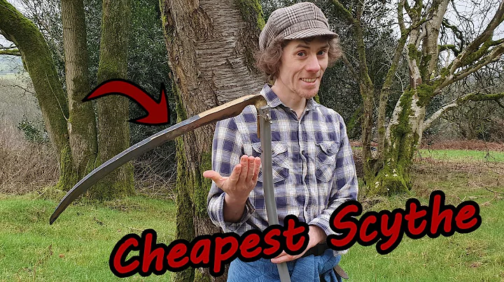 Buying the Cheapest Scythe!