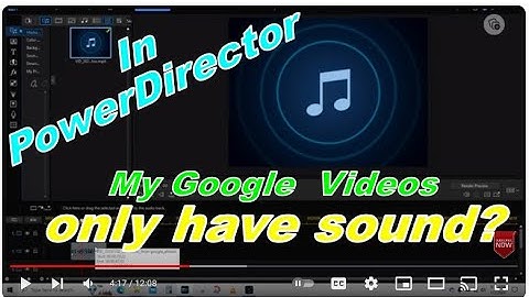 PowerDirector 365 has problem with Google Videos importing only audio