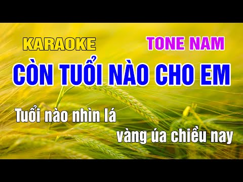 Còn Tuổi Nào Cho Em Mr: Ninh Nguyễn