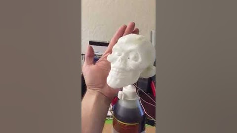 3 Axis Neck Movment Test #1 (Small Scale)