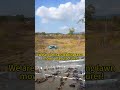 Most Reliable Mower for Daily Use | Koham All-Weather Engine with Easy-Access Service Points