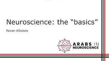 [Intro to Computational Neuroscience W1D3] Neuroscience Basics
