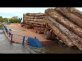 Dangerous Heavy Chainsaw Tree Felling &amp; Wood Sawmill Machines, Fastest Logging Wood Truck Powerful