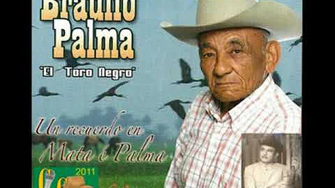 A CESARIO CASTAEDA BRAULIO PALMA EL TORO NEGRO