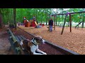 5yr Pitbull mix (Harper) | Amazing Off Leash Obedience Trainers | Coeur d'Alene Idaho 5yr Pitbull mix (Harper) | Amazing Off Leash Obedience Trainers | Coeur d'Alene Idaho
