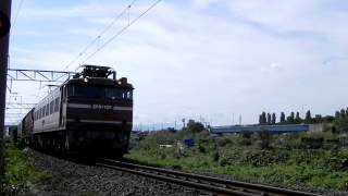 ヒサシ付きEF81-735牽引3099レ 奥羽本線