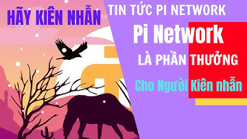 Tin Tức Pi Network Mới Nhất l Pi Là Phần Thưởng Cho Người Kiên Nhẫn l Blog Của Hải