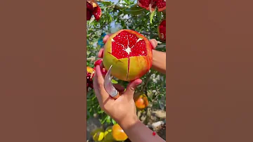 Ну и гранат! БОМБА! #гранат #фрукты #фруктовый #фруктоед