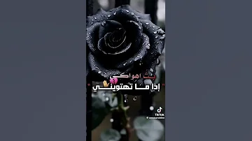 اوجعيني ياجراحي اوجعيني 