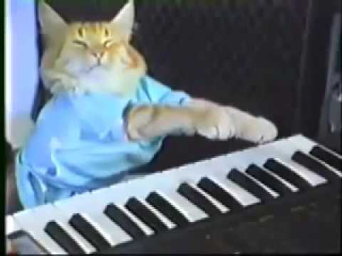 keyboard-cat-10-hours