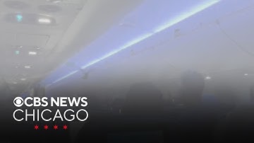 Pigeons get loose inside Delta Air Lines plane