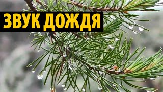 Звук дождя в палатке 10 часов | Шум дождя для крепкого сна