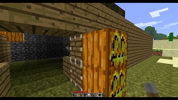 Minecraft Piston Bug/glitch