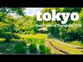 Tokyo Nature Escape &ndash; Secret Gardens, Meiji Shrine &amp; Local Calm | JAPAN TRAVEL VLOG