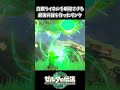 ティアキン 白銀ライネルを瞬殺できる最強兵器を作ったリンク ゼルダの伝説 ティアーズ オブ ザ キングダム ティアキン 白銀ライネルを瞬殺できる最強兵器を作ったリンク ゼルダの伝説 ティアーズ オブ ザ キングダム