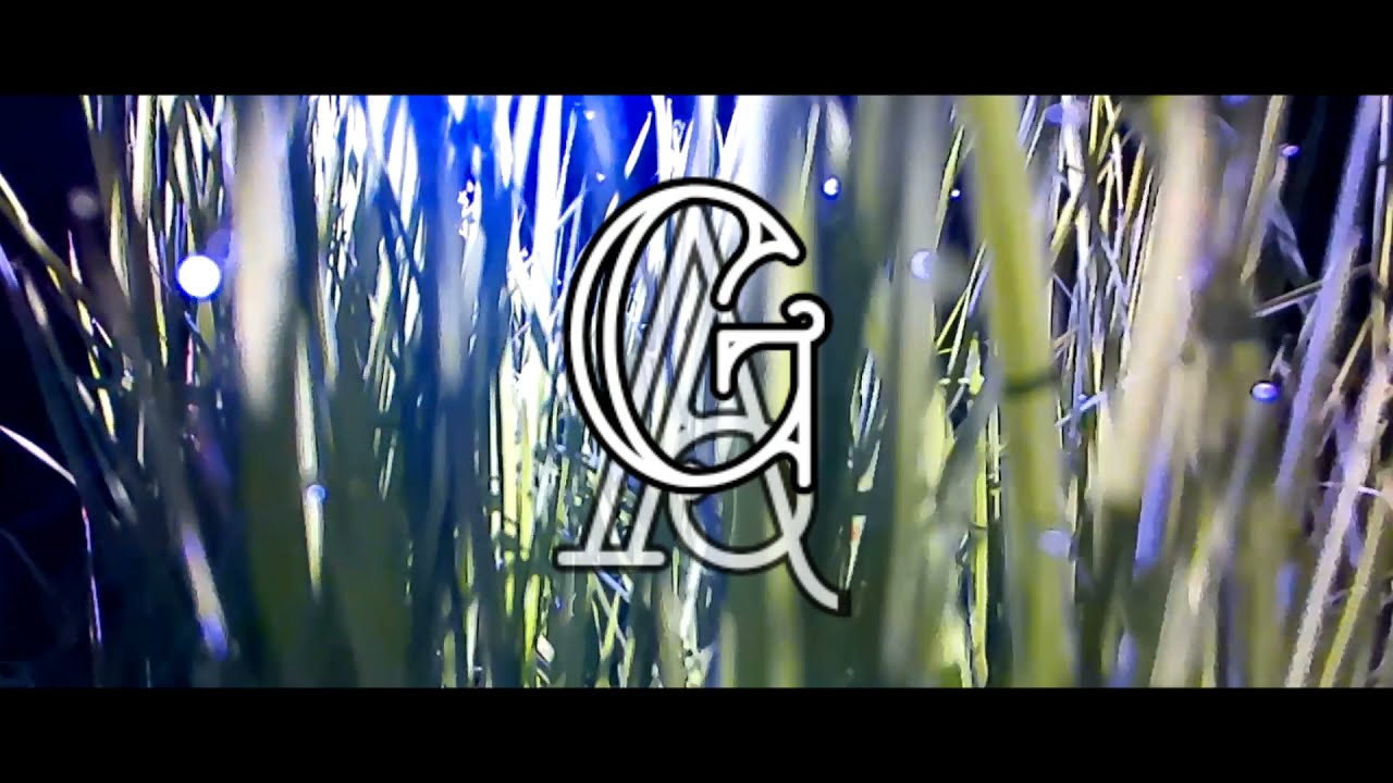 musik back soud video