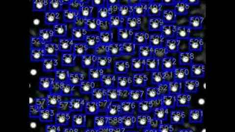 2 366 template matching