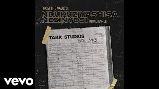 Ndukuziyashisa Nezinyosi - Sikhuphula Isizwe (Official Audio)