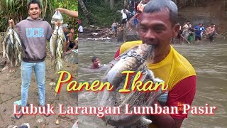 Tebar Jala Panen Ikan Masherr (Dewa, Garing)][ Lubuk Larangan Lumban Pasir Kotanopan