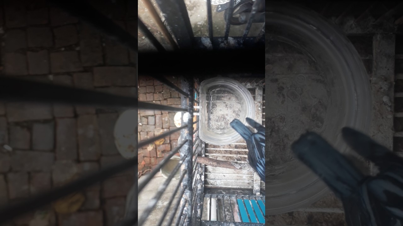 Rambatan Doraemon Jantan Muda Youtube