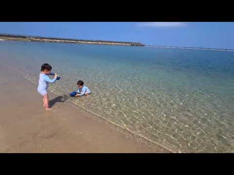 twin boys - 双子男子 - YouTube