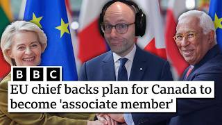The Newest Member of the European Union screenshot 4