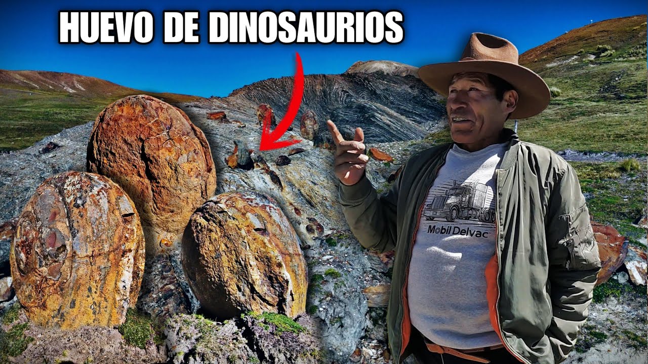 Increíble! Encontramos Huevos de Dinosaurio de hace Millones de Años