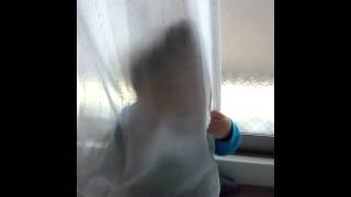 いないいないばぁ