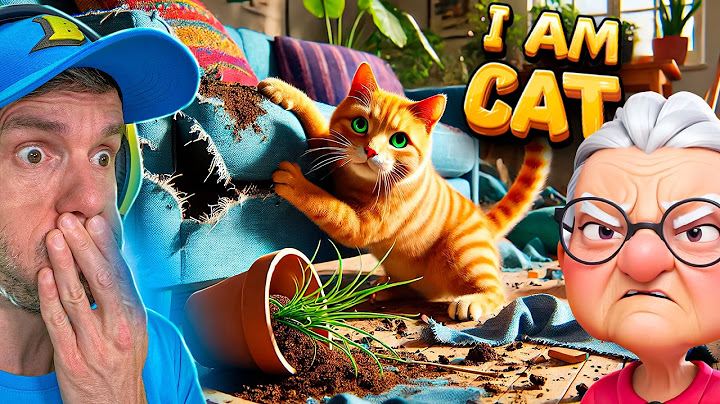 O Gato RASGOU O SOFÁ e Quebrou TUDO! O Dono Ficou FURIOSO 😡 I'M CAT VR
