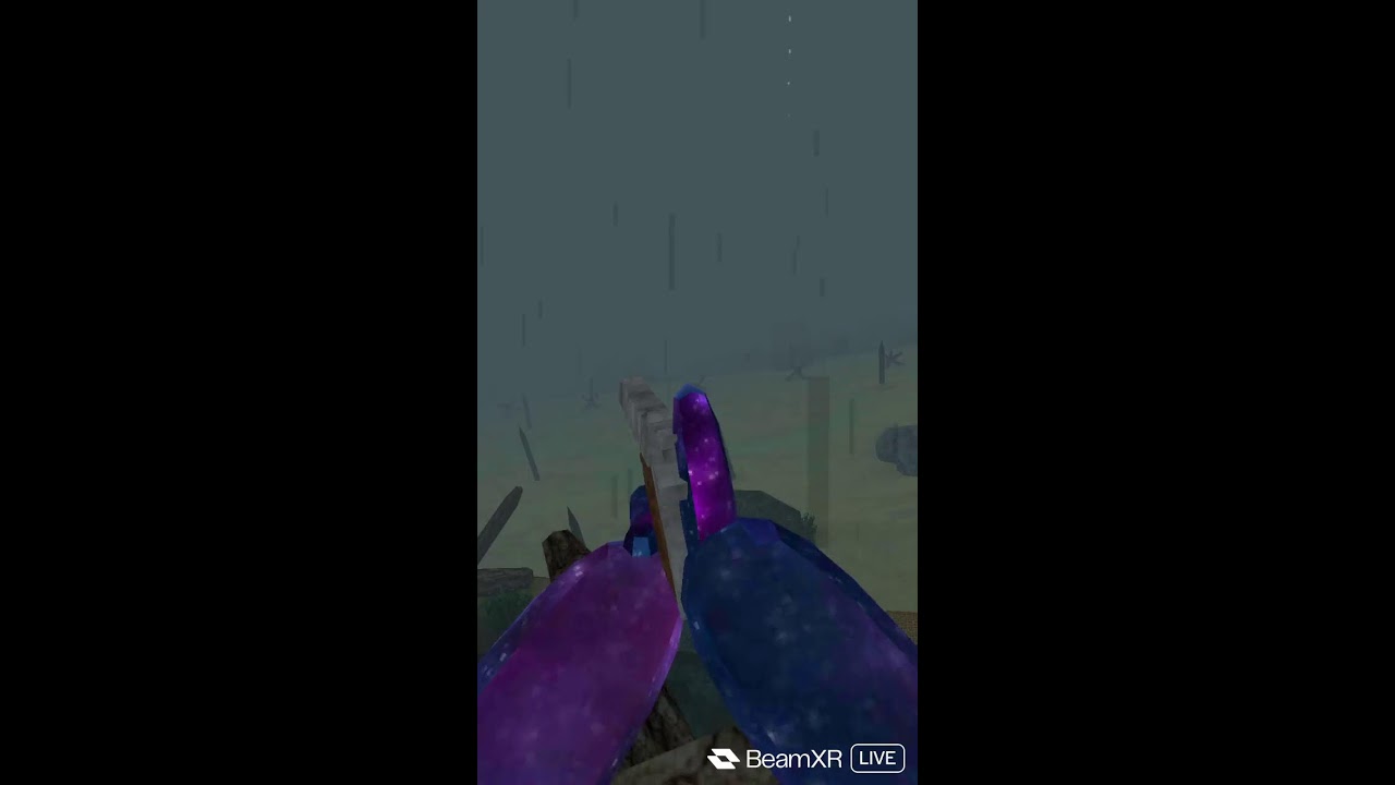 PLAYING RANDOM GAMES VR TILL IM TIRED