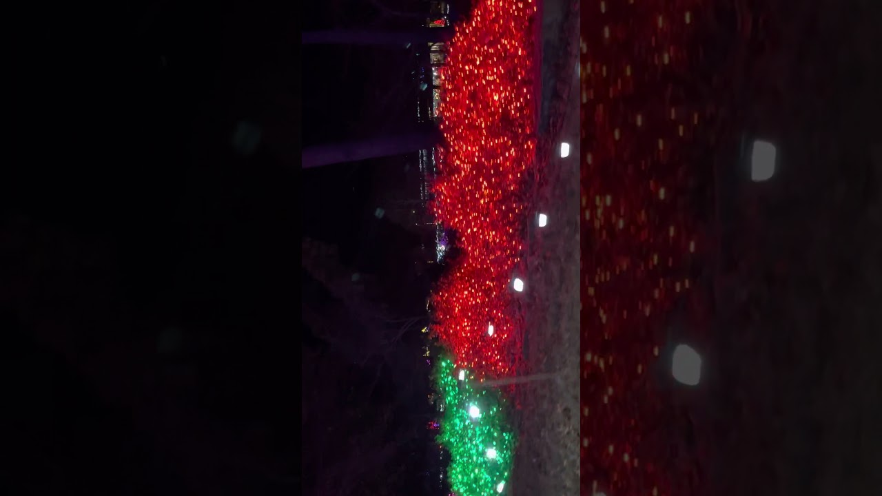 Honor Heights in Muskogee Christmas lights YouTube