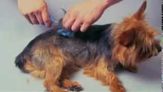 Scaredy Cut Pet Grooming Kit